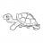 speedy turtle